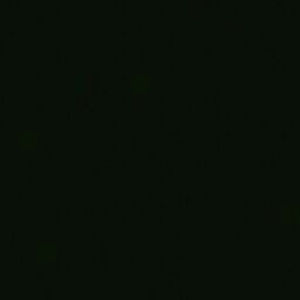 Meet your Posher, Mel